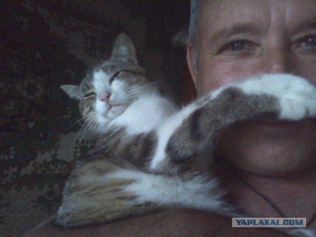 Котовторник 16.06.2015., Котовторник наступил!