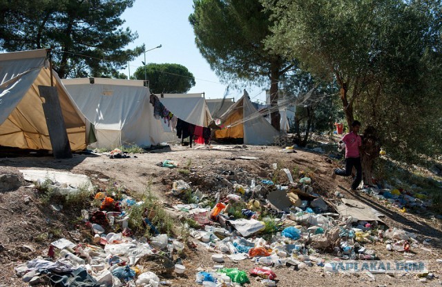 Райская Греция стала адом для мигрантов