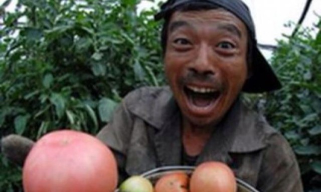 Как казаки за продуктами ходили