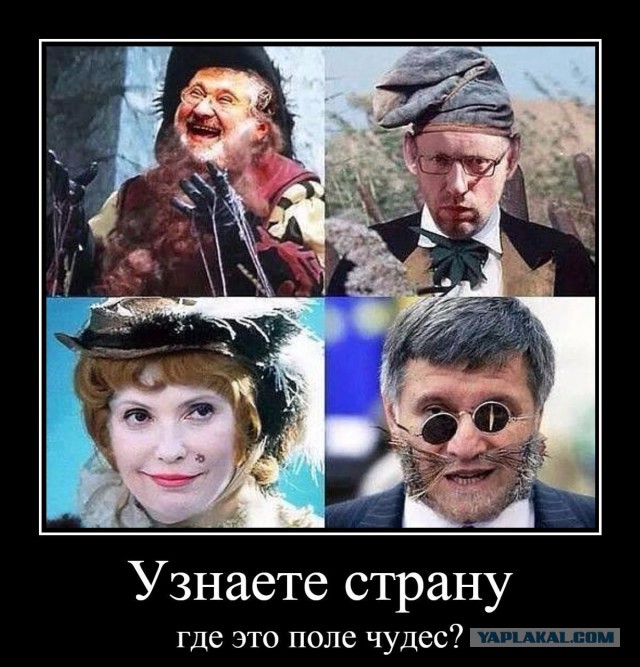 Прикольные фото и картинки