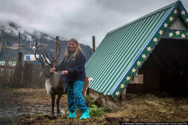 Суровая женщина с оленем в суровом городе Америки