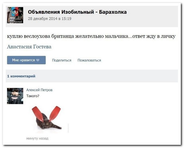 Ужасы и приколы из соцсетей 18+