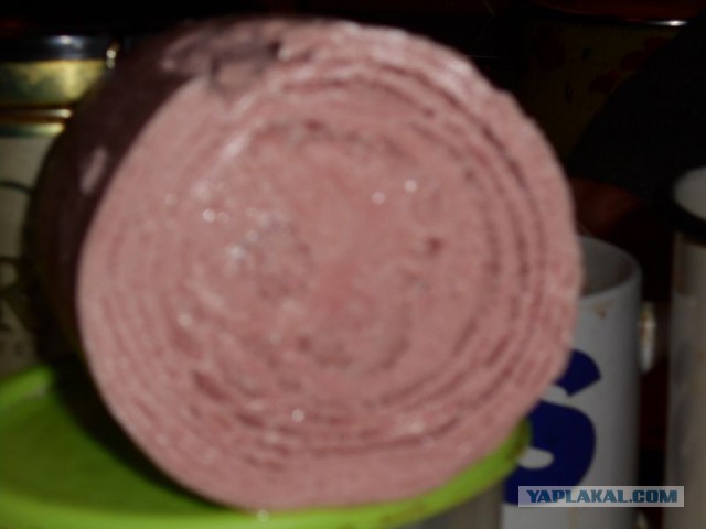 Жизнь домашнего приюта для котеек 99