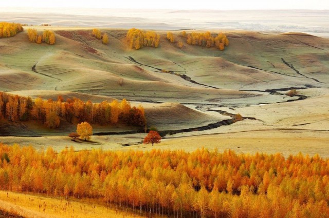 Порция картинок