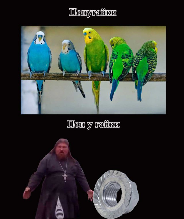 Абсурд зашкаливает