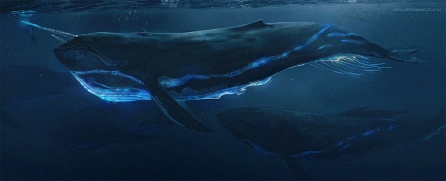 Самые смешные животные