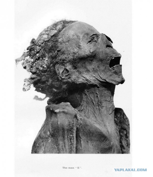 Погребение заживо в древности как вид казни для цареубийцы