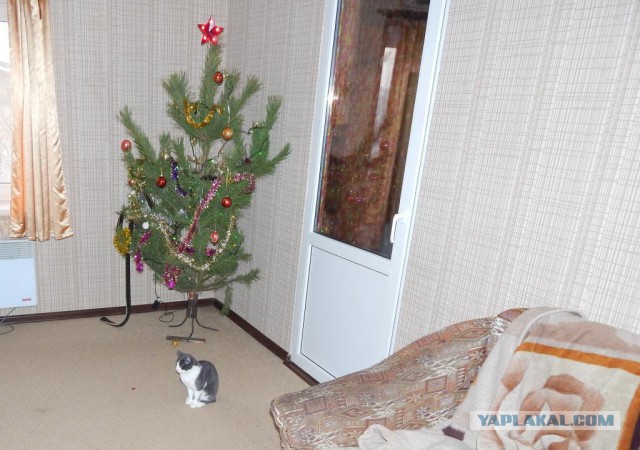 Немного позитива