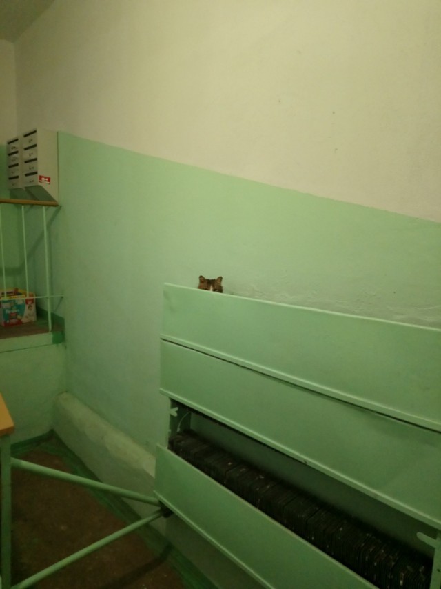 Подборка интересных и веселых картинок