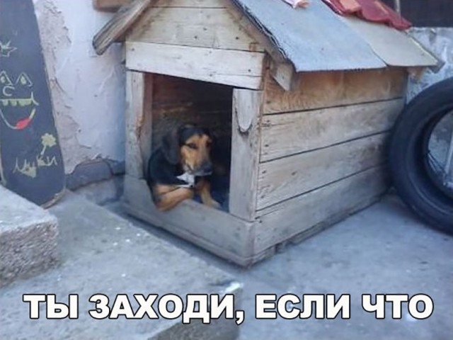 Нестандартный юмор