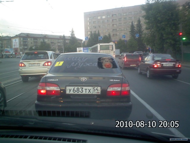 Никак немогут найти друг друга
