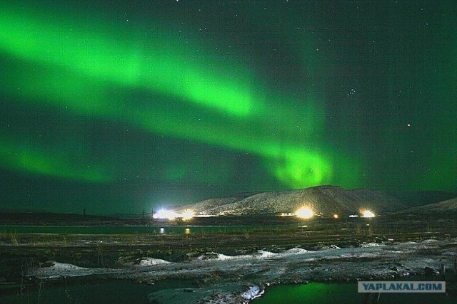 Подснежники гробы. г. Норильск