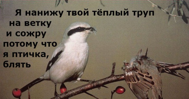 Жутковатая природа