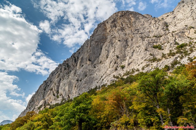 Крымские каникулы. ЮБК.