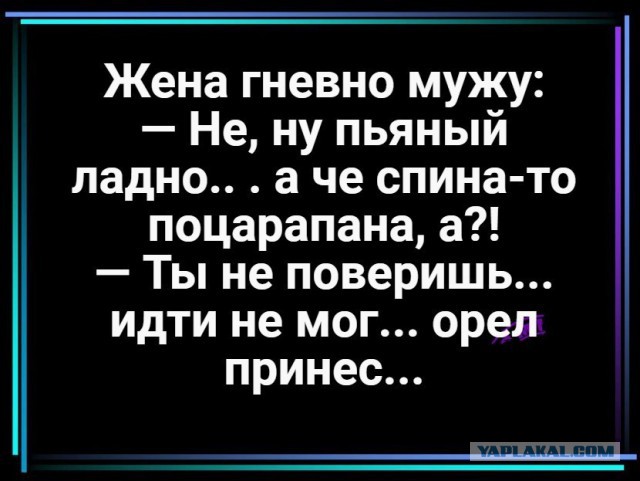 Нестандартный юмор