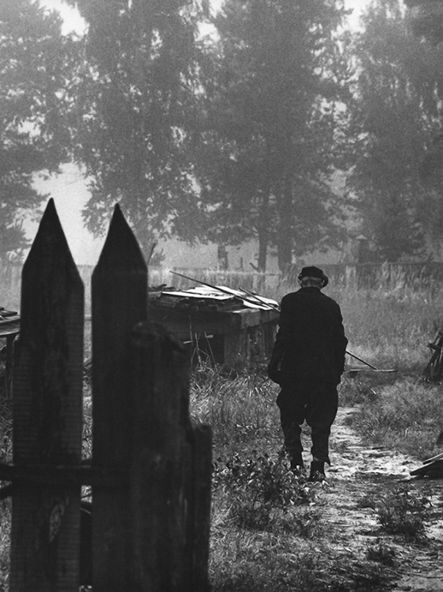Обыденная жизнь советских людей в фотографиях Михаила Дашевского