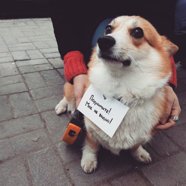 "Вы мою жену мразотой назвали?"