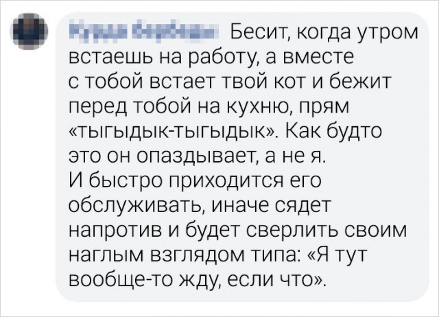 Прикольные комментарии и высказывания из Сети