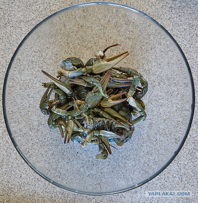 Биск из речных раков