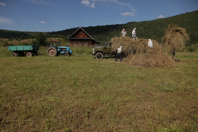 Каникулы в деревне