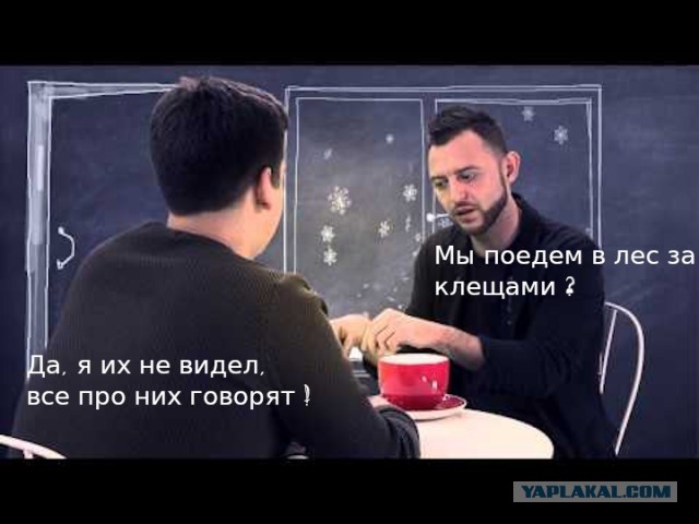 Помогите опознать насекомое. Кажется в Москве проснулись клещи