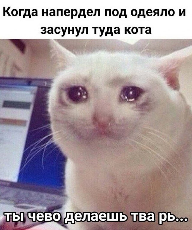 Картинок пост с чернухой
