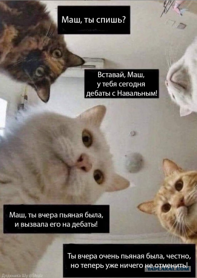 "Вы сливаетесь" Мария Захарова начала оправдываться