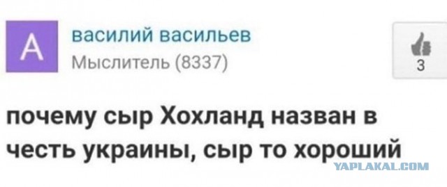 Бредзона