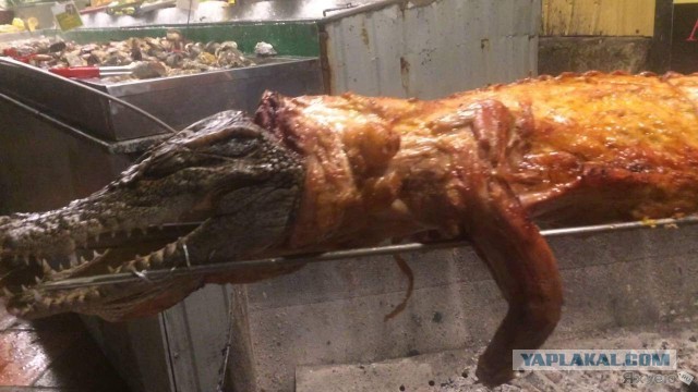 Мамы всякие нужны, мамы разные важны!