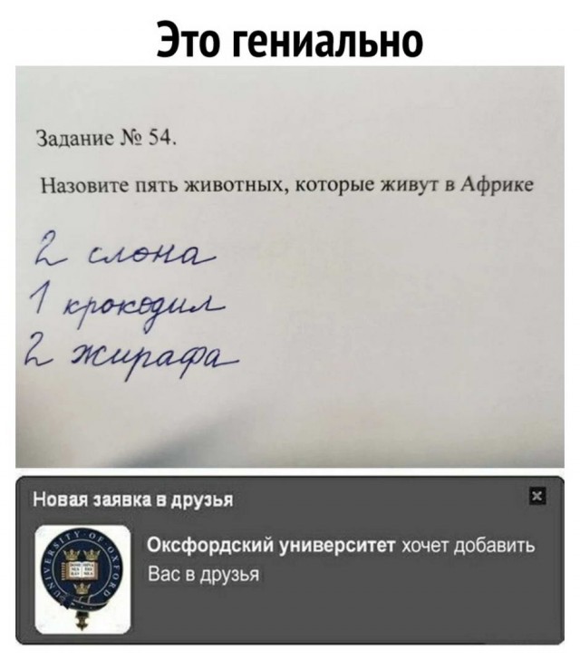 Картинки и мемы для настроения 026
