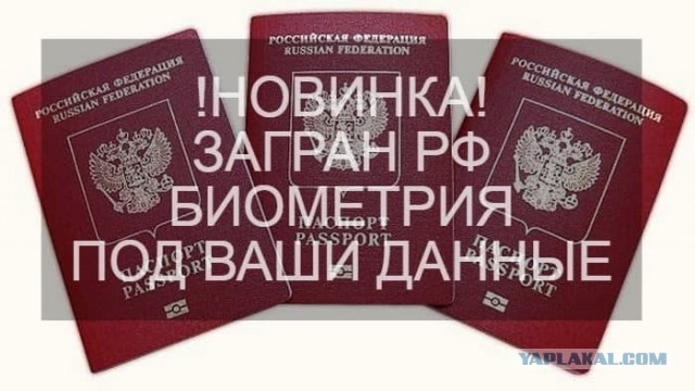 Парень снял квартиру — и продал ее по липовым документам