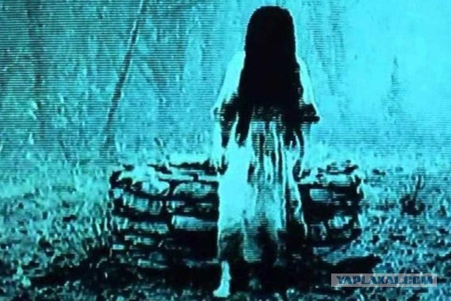 Психанул. Дачный сортир «king size»