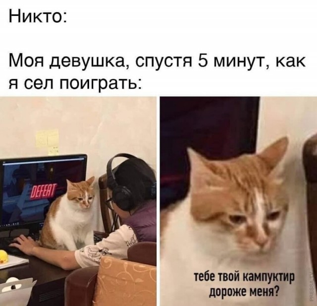 Баянисто-небаянистый юмор 9.04.21