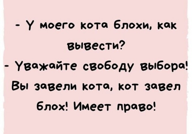 Проблемы в сексе, в которых муж обвиняет меня