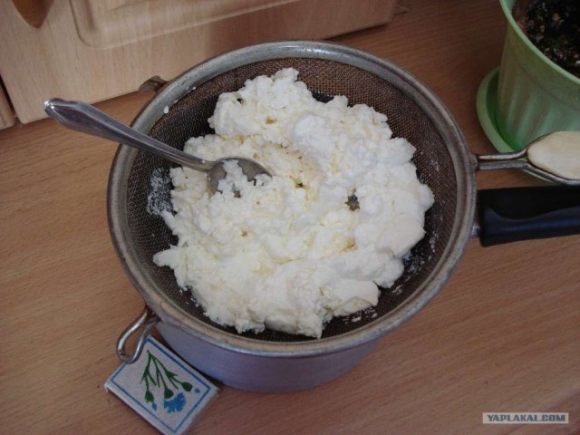 Вареничная вечеринка по Гоголю