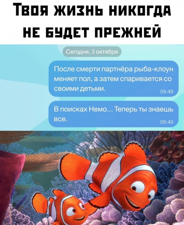 Весёлый полтишок 03.10