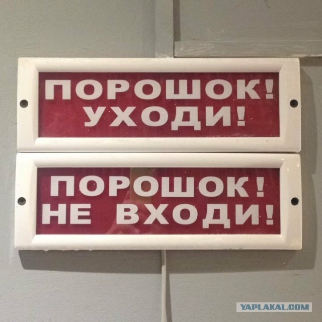 Избиравшийся в Госдуму актёр Дмитрий Певцов призвал сажать в тюрьму на год-два рэперов, «несущих тьму и бесовщину».
