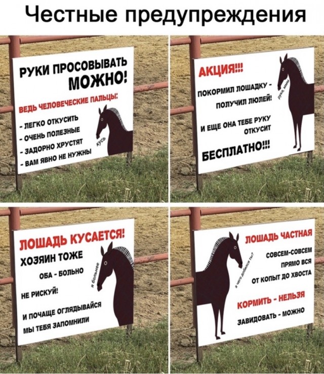Картинки и мемы для настроения 12.10.2021