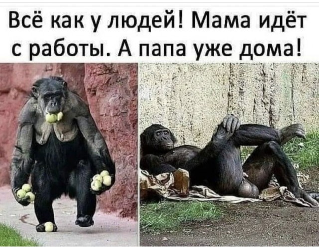 Весёлый полтишок 29.10