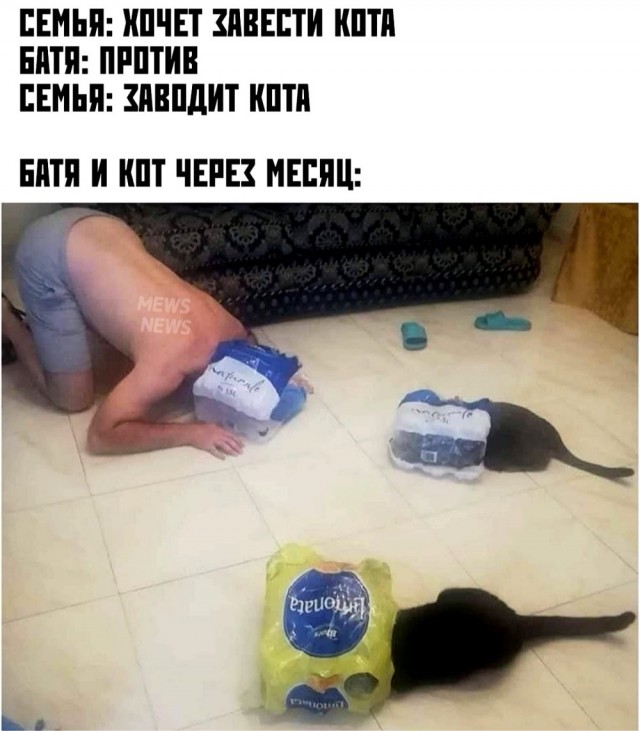 Картинки на среду 03.11.2021. Разные