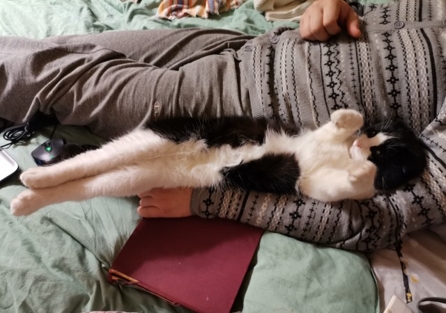 Вторник. Котэ. Пора