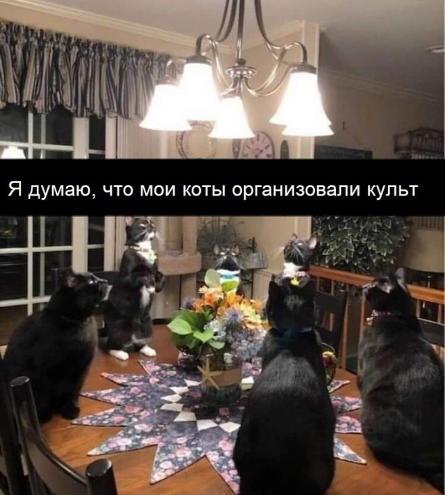 Всяческие картинки 17.01.2022