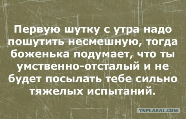 "Без паники!" О текущей ситуации с юмором