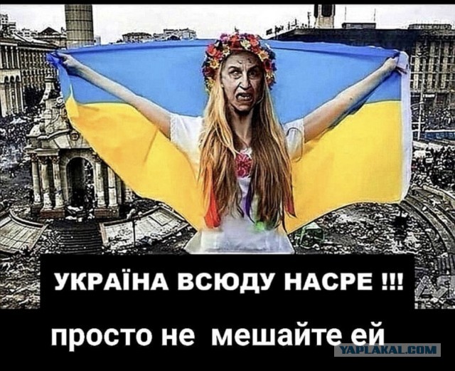 Бабушка с флагом СССР и украинцы.И комментарии иностранцев.