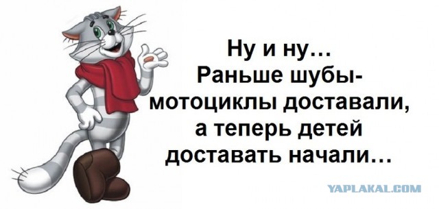 Россиян призвали заводить трех и больше детей