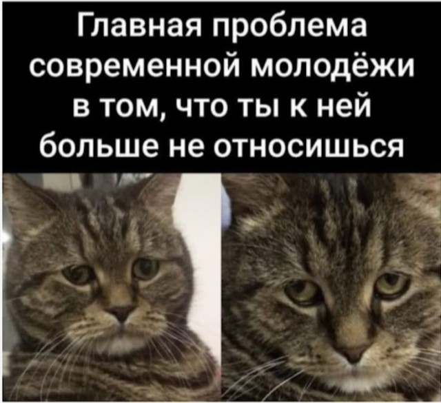 Картинки с текстом