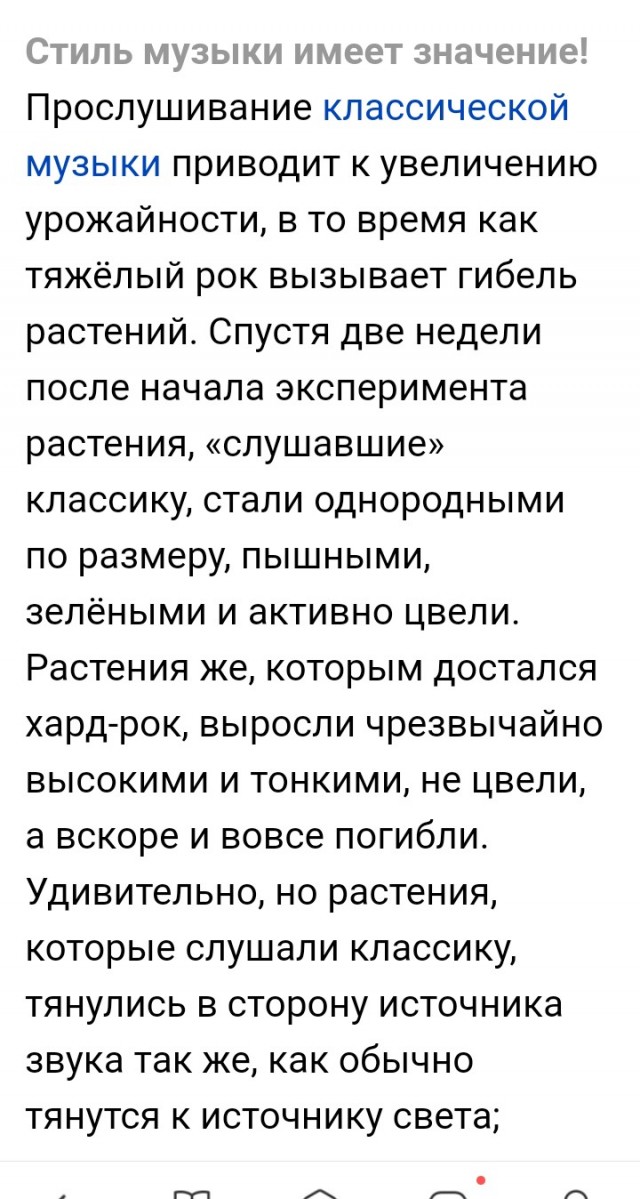 Женский взгляд работницы ЗАГСа на современные отношения