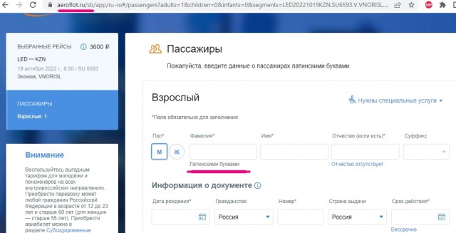 Депутат предложил «русифицировать» аэропорты России