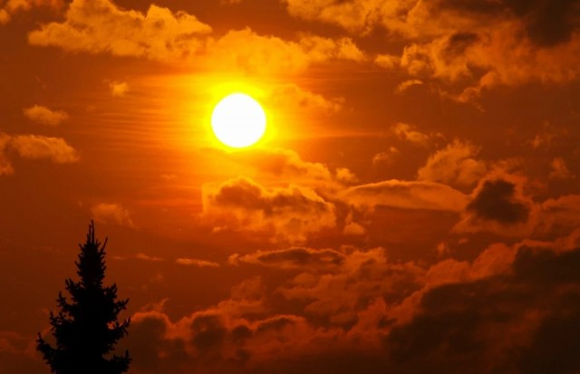 Краткий очерк о жизни нашего Солнца