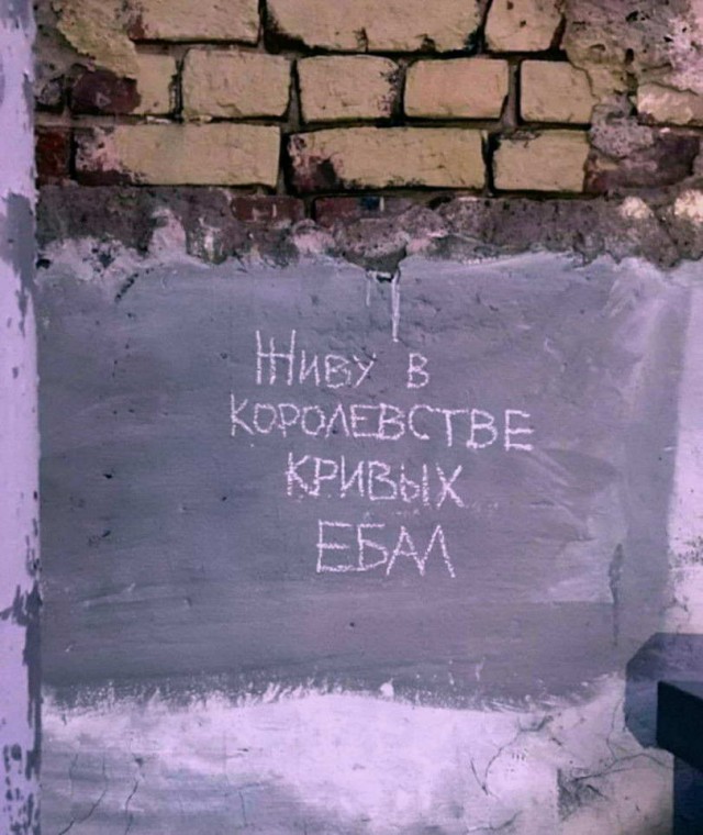 Картинки и мемы для настроения - 133